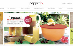 Review of Pepperfry